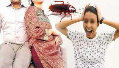Couple's Divorce Over Cockroach Fear Sparks Online Debate