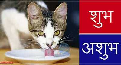 Newszop