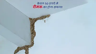 Newszop