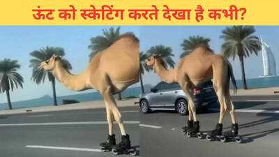 Newszop