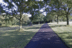 Southampton park 'murder' as adult body found following 'significant fire'