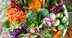 Plant-based diet with less meat will be good for humans and the world, says Lancet Commission