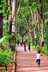 Discover Bengaluru's green escapes on the International Day of Forests