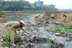 Pune: Sant Nirankari Mission Conducts Mega Cleanliness Drive At 42 Locations Including Mula-Mutha River