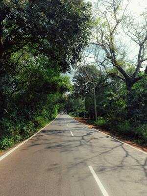 Newspoint