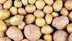 4 million kilos of potatoes given away for free in Berlin; Know WHY
