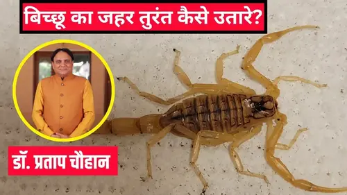 Newszop