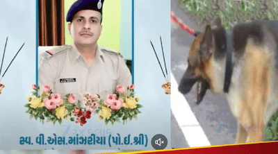 Newszop