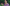 Newspoint