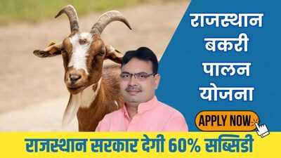 Newszop