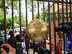 Delhi HC seeks Centre's reply on plea to revive minority commission by filling top vacancies