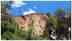 Optical illusion: We will rename you 'hawk eyes' if you can spot the goat in this mind-boggling image!
