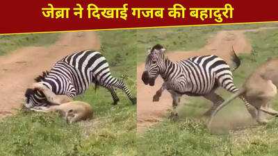 Newszop