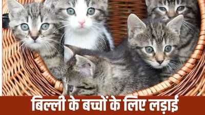 Newszop