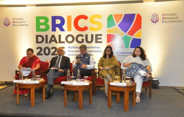 Experts Highlight BRICS Presidency as a Voice for the Global South