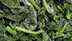 FDA recalls frozen spinach over listeria contamination- check out the products