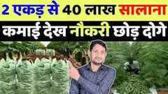 Newszop