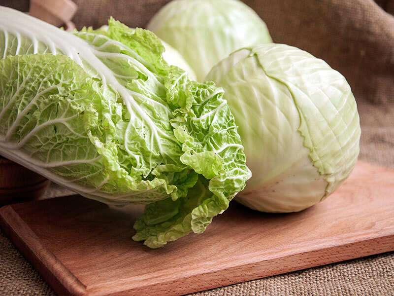 What S The Difference Between Cabbage And Lettuce The Times Of India