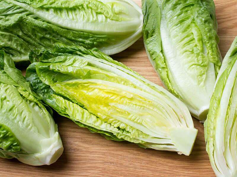 What S The Difference Between Cabbage And Lettuce The Times Of India