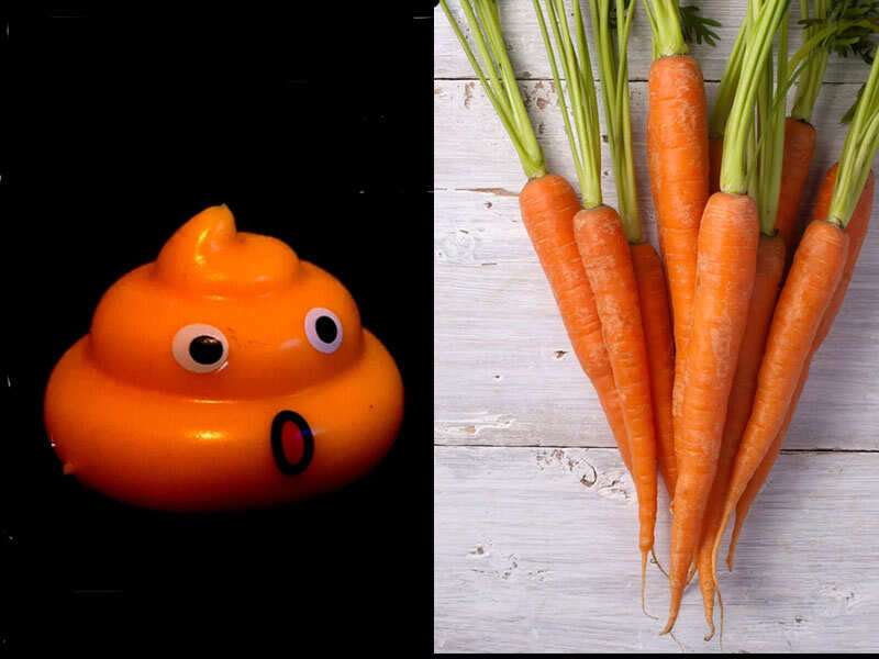 Can Carrots Make A Dogs Poop Orange