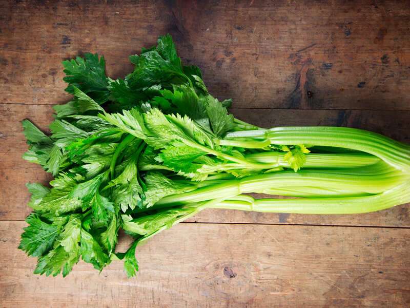 Difference between celery cilantro and parsley The Times of India