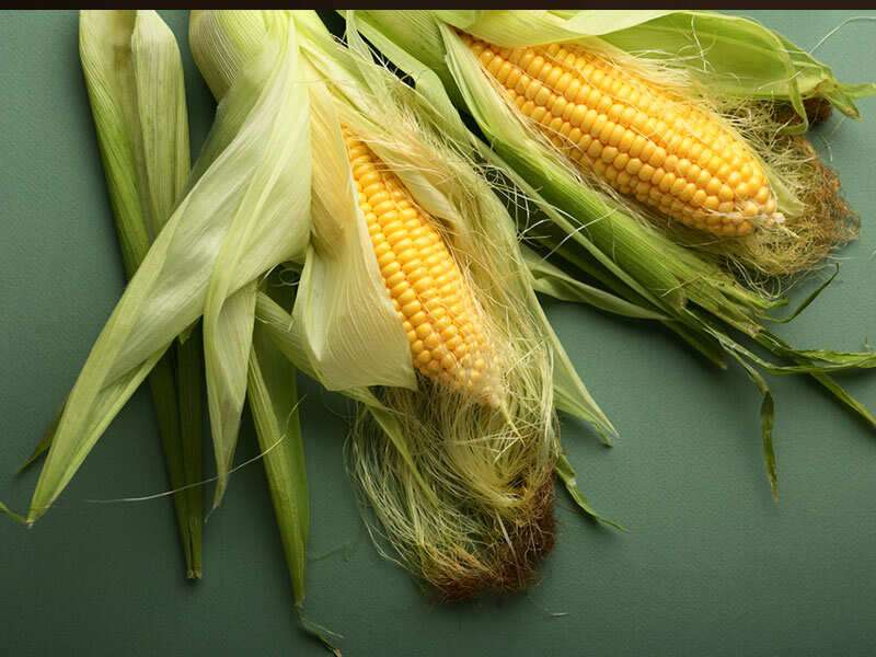 What S The Difference Between Corn And Baby Corn The Times Of India