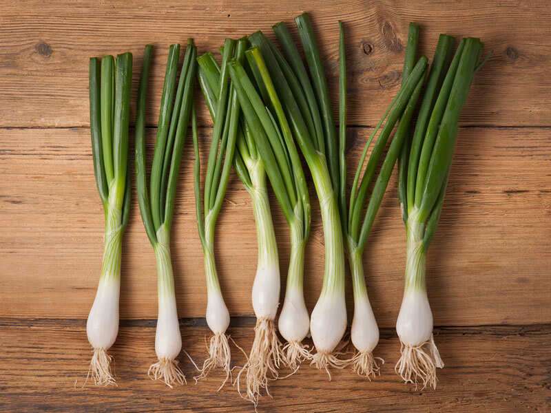 10 Reasons Why Spring Onions Should Be Included In All Your Recipes The Times Of India