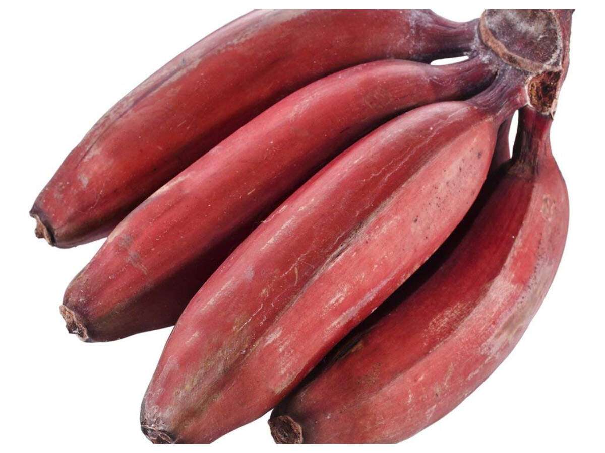 Red Banana Benefits Weight Gain In Tamil Banana Poster
