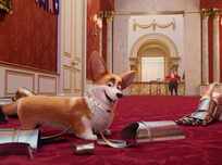 the queen's corgi song