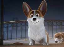 the queen's corgi song