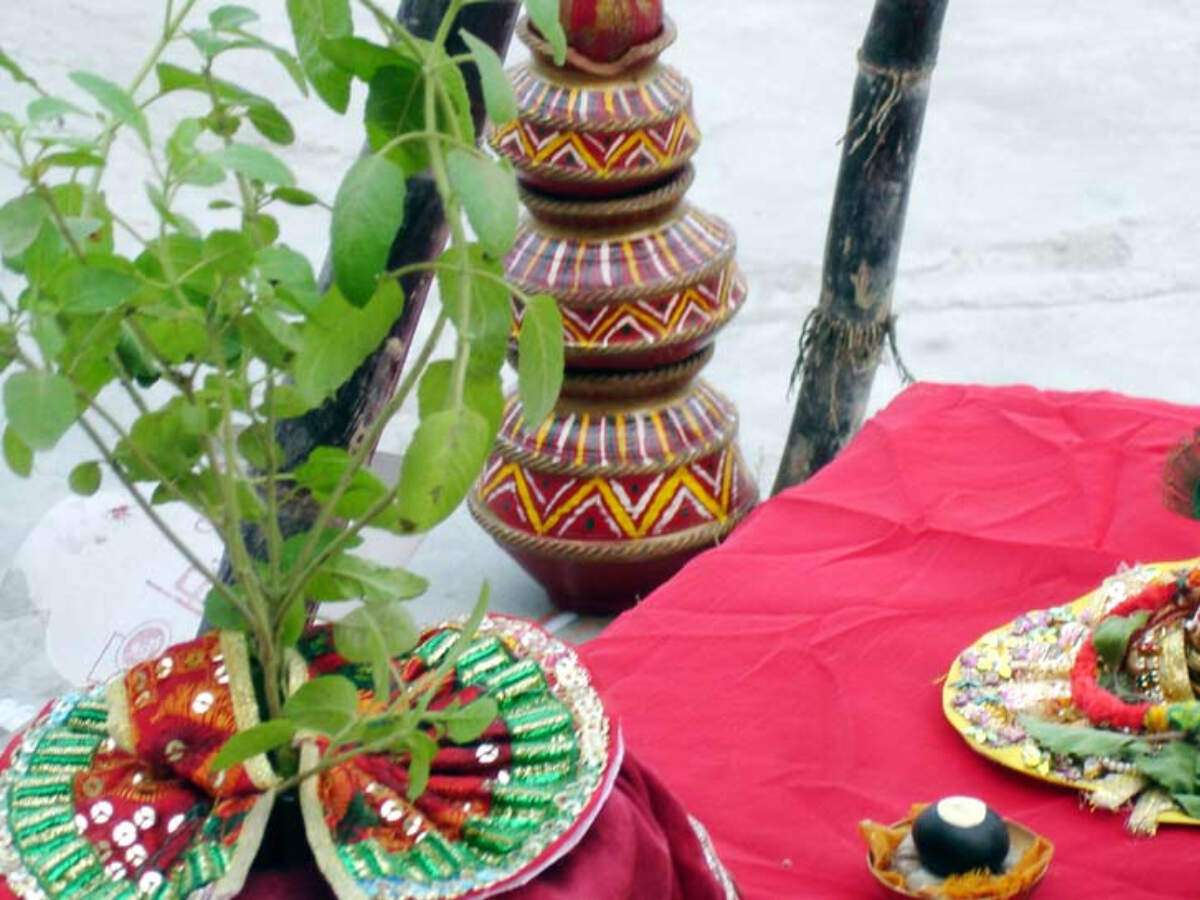 Tulsi Vivah 2019 Date Puja Vidhi Mahurat Vrat Katha And All You Need To Know Times Of India