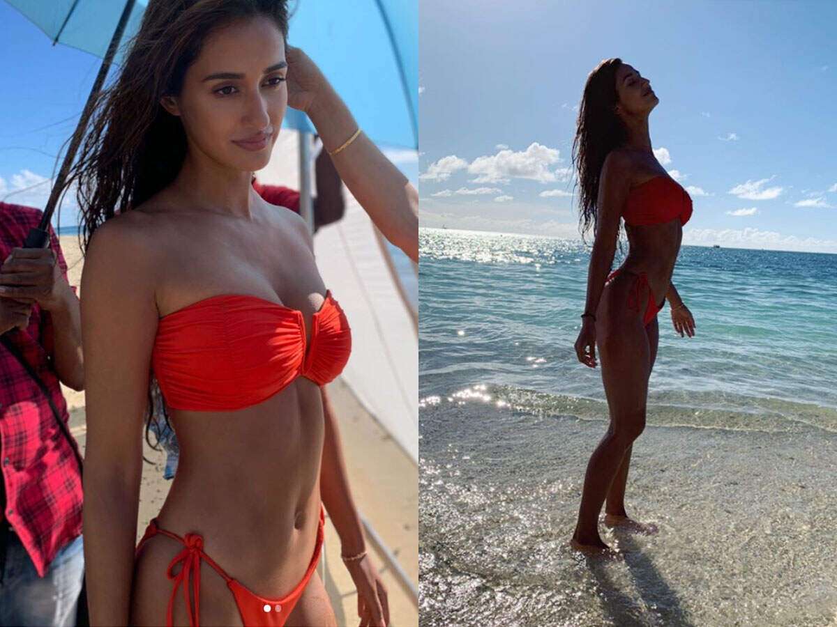 Disha Patani Hot & Sexy Bikni Photos: Disha Patani sets the temperature  soaring on the sets of 'Malang' as she sizzles in a hot tangerine  bikiniDisha Patani Hot & Sexy Bikni Photos: