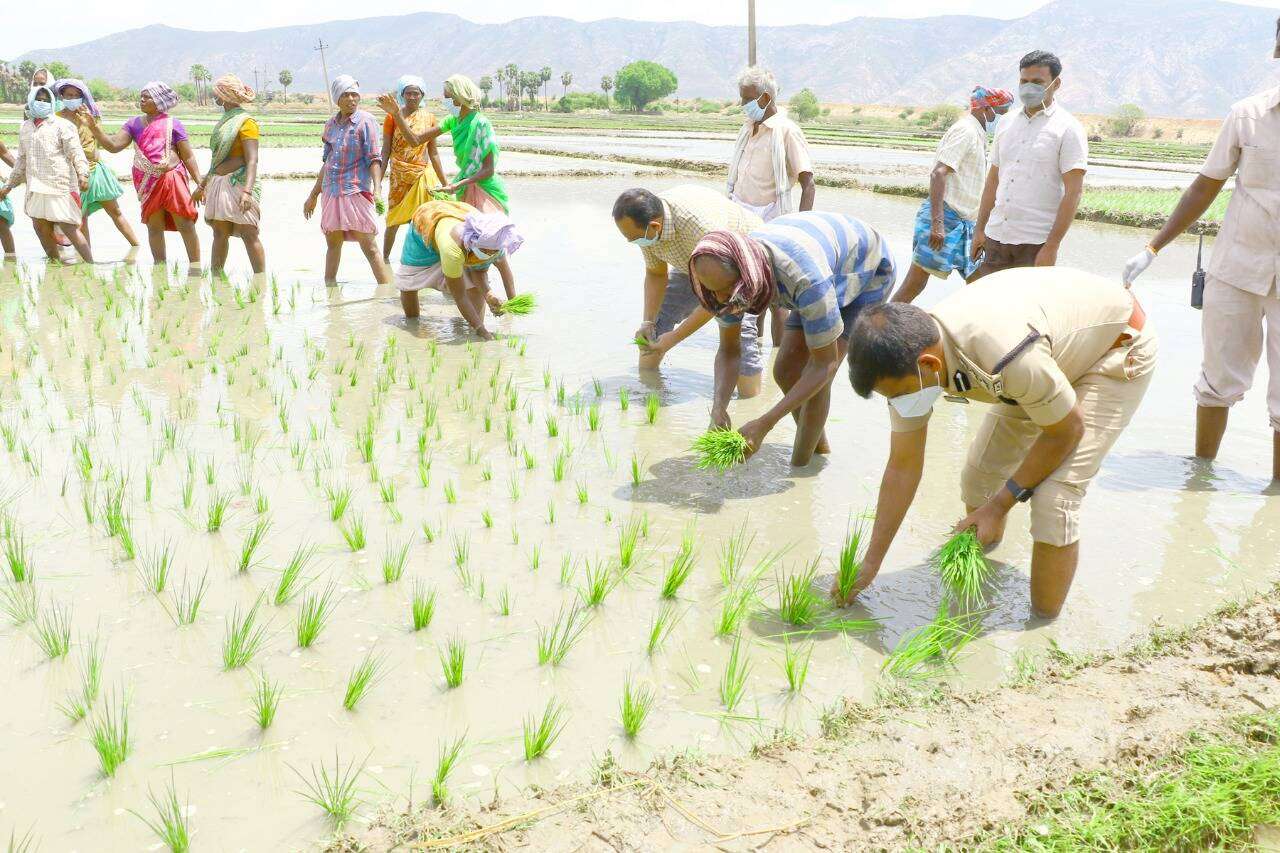 Avula Ramesh Reddy Latest News Videos And Photos Of Avula Ramesh Reddy Times Of India Avula Ramesh Reddy Latest News Videos And Photos Of Avula Ramesh Reddy Times Of India