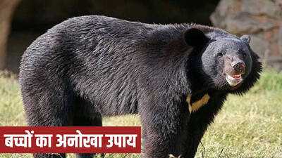 Newszop